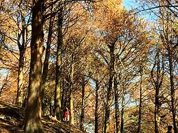 Shire Homestay