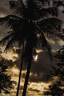 Rhythm Kumarakom