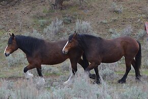 Wildhorse Mountain Guest Ranch