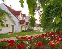 Fern Resort