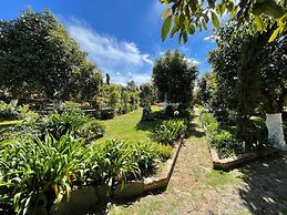 Cabañas La Huerta