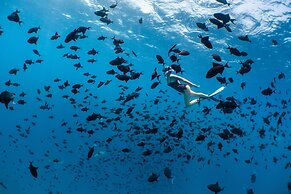 Amilla Maldives