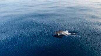 Amilla Maldives
