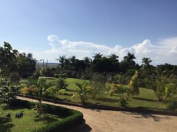 African Roots Entebbe