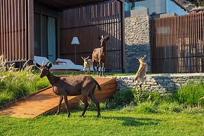 Maxx Royal Kemer