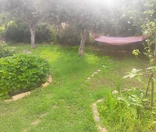 TETRAKTYS estate