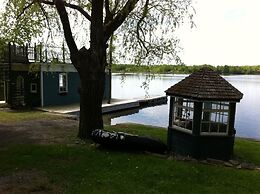 Windswept on the Trent