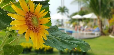 Sun & Sands Beach Hotel