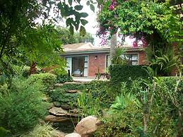 Aziza Guesthouse