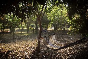 Red Earth Kabini