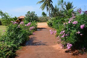 Red Earth Kabini