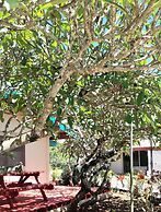 Kiikii Inn & Suites