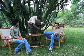 Mara Bush Camp