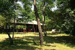 Mara Bush Camp