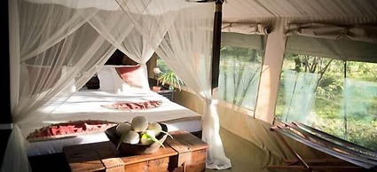 Mara Bush Camp