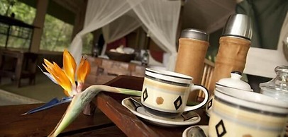 Mara Bush Camp