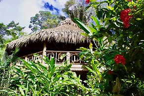 Villas Pico Bonito