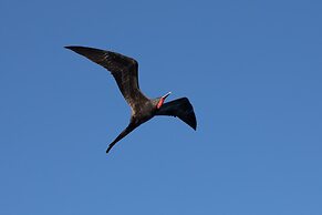 Hotel Red Booby