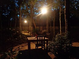Casa Mango