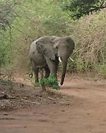 Nje Bush Camp