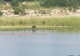 Nje Bush Camp