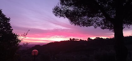Piccola Siesta b&b