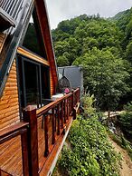Asva Villa şelale evleri