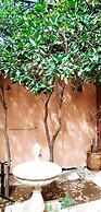 Le petit jardin Marrakech