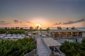 Delek Holbox