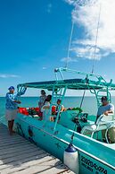 Delek Holbox