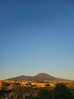SirenaResina
