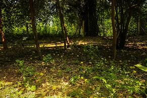 Panna Tiger Resort- River Side Property