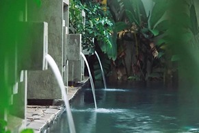 Tushita Villa Pool and Gardens
