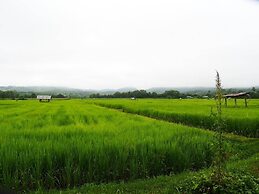 DoiSamoeDao Hostel