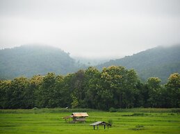 DoiSamoeDao Hostel