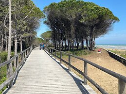 Spacious Flat Near Pluto Beach