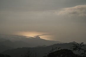 TERRAMIA ESTATE