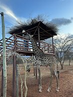 Oldonyo Orok Camp