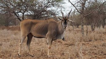 Oldonyo Orok Camp
