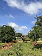 Oldonyo Orok Camp