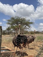 Oldonyo Orok Camp