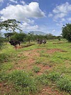 Oldonyo Orok Camp