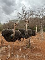 Oldonyo Orok Camp