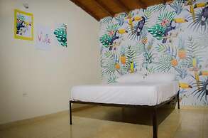 HOSTAL PURA VIDA LA 70