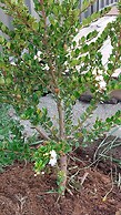 Cabañas ecológicas