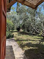 Podere Prataccio