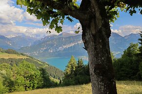 Beatenberg Resort & Spa in Beatenberg Interlaken