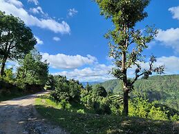 The Foresta