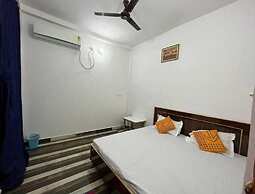 Kashi Nest