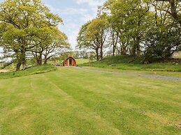 Conwy Pod